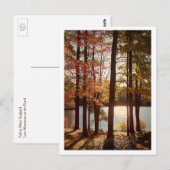 Fall in Neuengland Postkarte (Vorne/Hinten)