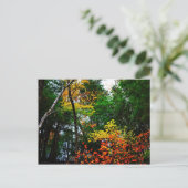 Fall in New England-postcard Postkarte (Stehend Vorderseite)