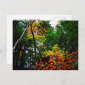 Fall in New England-postcard Postkarte (Vorne/Hinten)