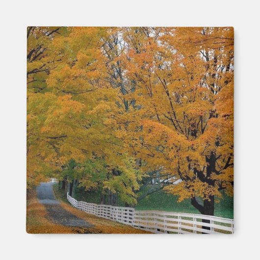 Fall in New Hampshire Magnet (Vorne)