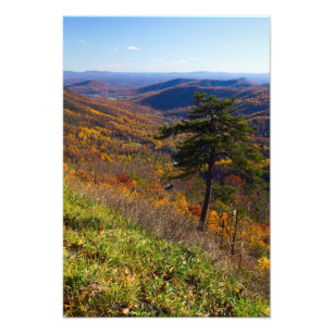 Fall in Shenandoah Nationalpark, Virginia Fotodruck