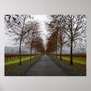 Fall in St. Helena Poster