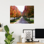 Fall in Virginia Fall Foliage Trees Blätter Foto Poster (Heimbüro)