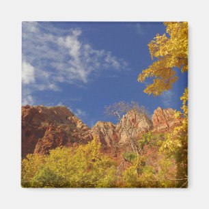Fall in Zion Magnet