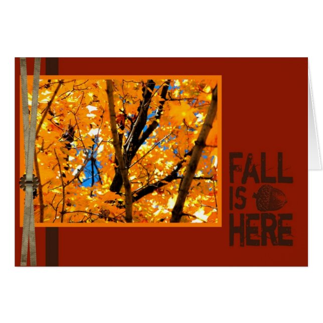 Fall ist hier (Vorderseite (Horizontal))