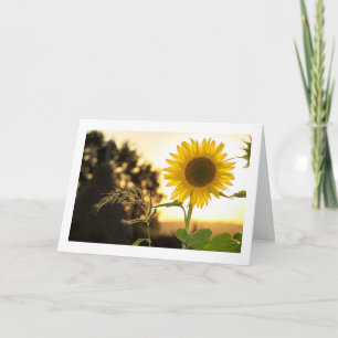 FALL IST HIER UND ERNTEDANK IST IN DER NÄHE KARTE