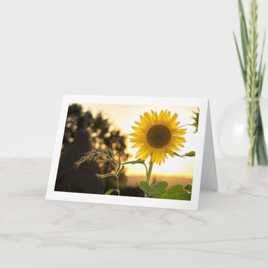 FALL IST HIER UND ERNTEDANK IST IN DER NÄHE KARTE (Vorderseite)