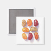 FALL JELLY BEANS Square Magnet (Vorderseite/Rückseite)