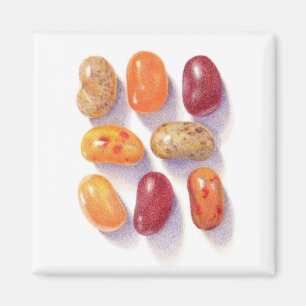 FALL JELLY BEANS Square Magnet