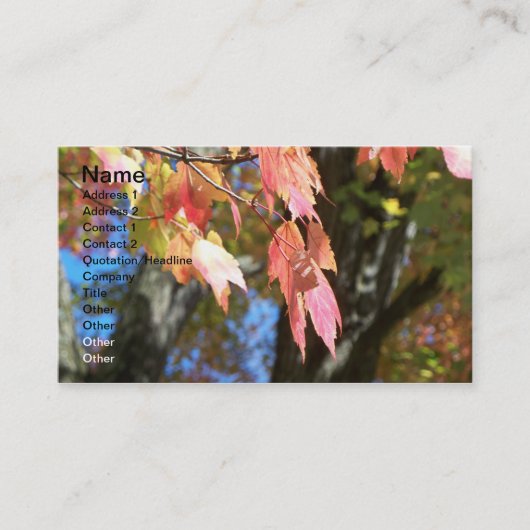 Fall-Karten Visitenkarte (Vorderseite)