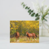 Fall Kastanienpferde Postkarte (Stehend Vorderseite)