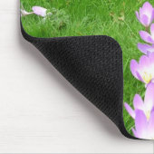 Fall-Krokus in England Mousepad (Ecke)