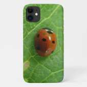 Fall Ladybug iPhone 3 Case-Mate iPhone Hülle (Rückseite)
