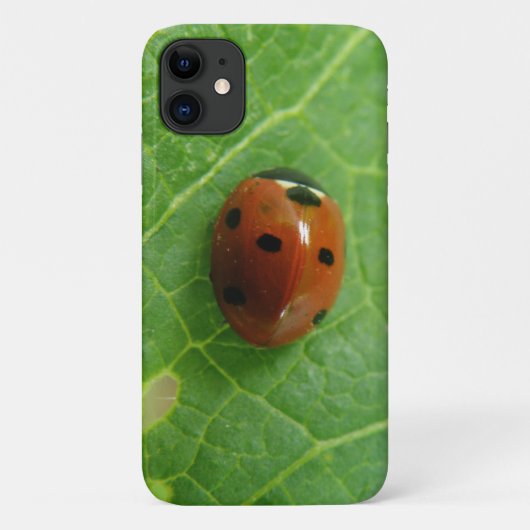 Fall Ladybug iPhone 3 Case-Mate iPhone Hülle (Rückseite)