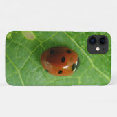 Fall Ladybug iPhone 3 Case-Mate iPhone Hülle (Rückseite (Horizontal))