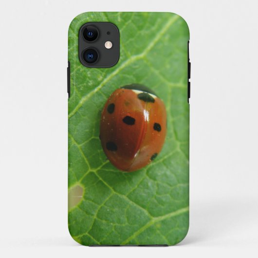 Fall Ladybug iPhone 5 Case-Mate iPhone Hülle (Rückseite)