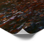 Fall Lake Poster (Ecke)