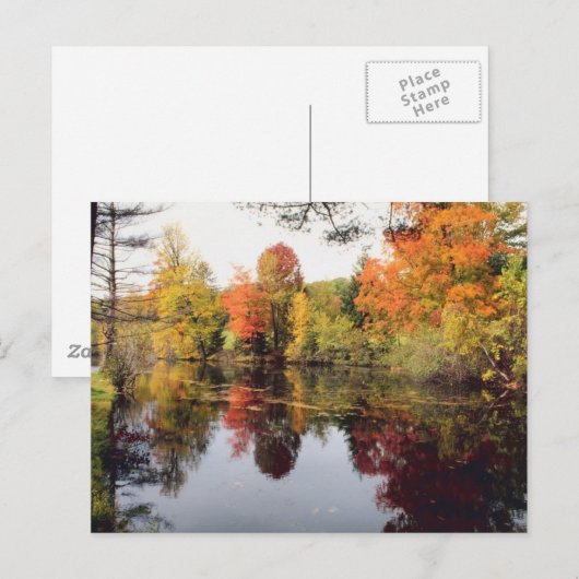 Fall Lake Postkarte (Vorne/Hinten)