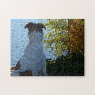 Fall Lake und Borzoi Puzzle