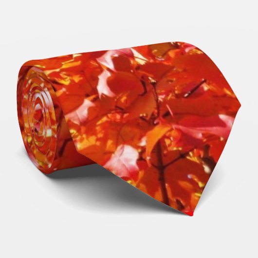 Fall-Laub-Krawatte 2 Krawatte (Gerollt)