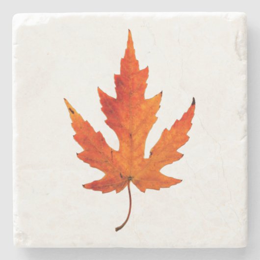 Fall Leaf - Fall Color - Stone Untersetzer (Vorderseite)