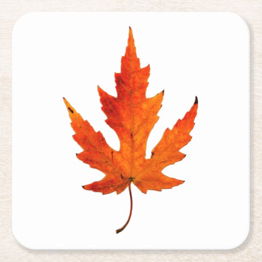 Fall Leaf - Fall Color - Stone Untersetzer (Vorderseite)