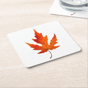 Fall Leaf - Fall Farbe - Untersetzer