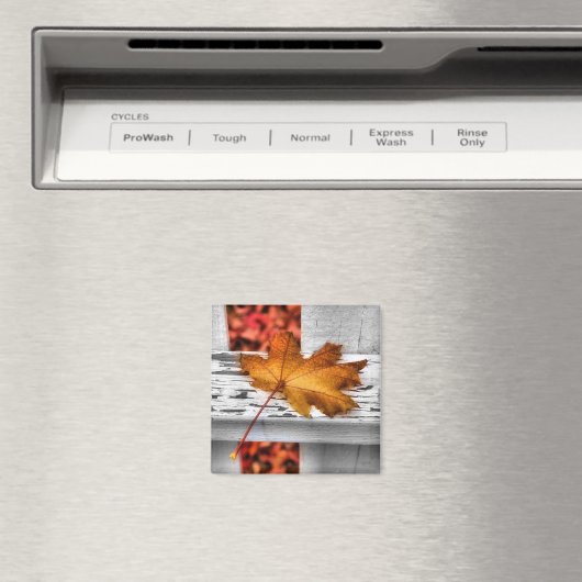 Fall Leaf Magnet (In Situ (Geschirrspüler))