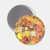 Fall Leaf Magnet (Vorderseite/Rückseite)