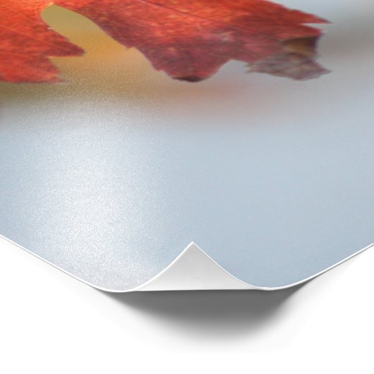 Fall Leaf nah Foto Erweiterung (Ecke)