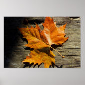 Fall Leaf Poster (Vorne)