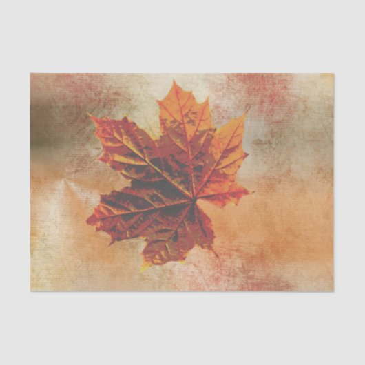 Fall Leaf Pumpkim Wrap Decoupage Seidenpapier (Vorderseite)
