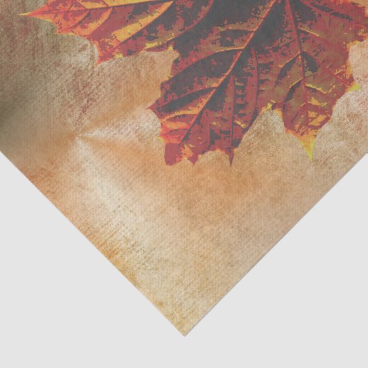 Fall Leaf Pumpkim Wrap Decoupage Seidenpapier (Ausschnitt)