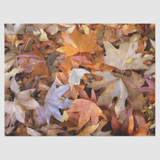 Fall Leaf Seidenpapier (Vorderseite)