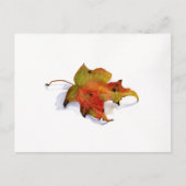 Fall Leaf Watercolor Postcard Postkarte (Vorderseite)