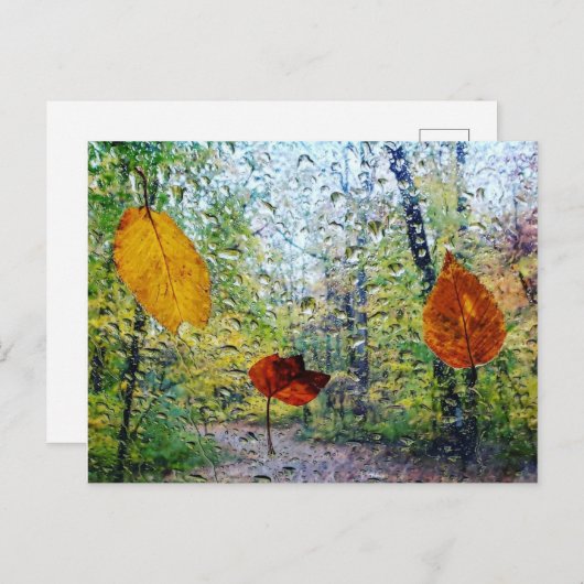 Fall Leaves In The Rain Postcard Postkarte (Vorne/Hinten)