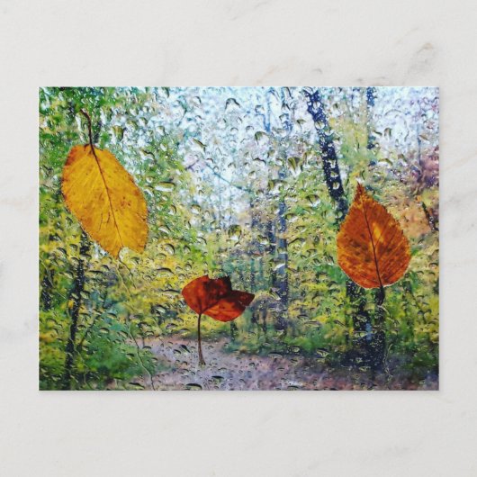 Fall Leaves In The Rain Postcard Postkarte (Vorderseite)