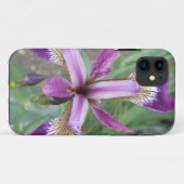 Fall lila Iris iPhone 5 Case-Mate iPhone Hülle (Rückseite (Horizontal))