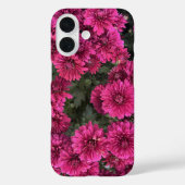 Fall lila Mums iPhone 16 Case-Mate iPhone Hülle (Rückseite)