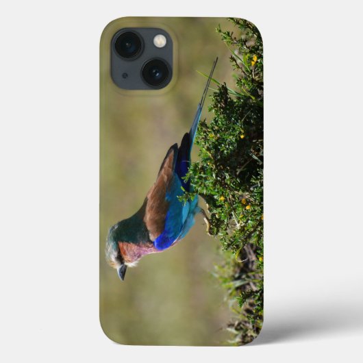 Fall Lilac Breasted Roller iPad Mini Case-Mate iPhone Hülle (Rückseite)