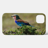 Fall Lilac Breasted Roller iPad Mini Case-Mate iPhone Hülle (Rückseite (Horizontal))