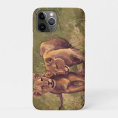 Fall Lion Cubs Case-Mate iPhone Hülle (Rückseite)