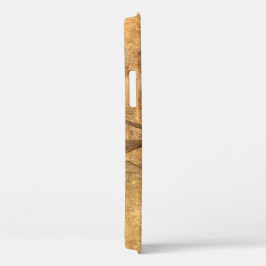 Fall Lion iPhone 12 Case-Mate iPhone Hülle (Rückseite / Rechts)