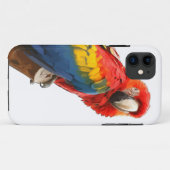 Fall Macaw iPhone 5 Case-Mate iPhone Hülle (Rückseite (Horizontal))