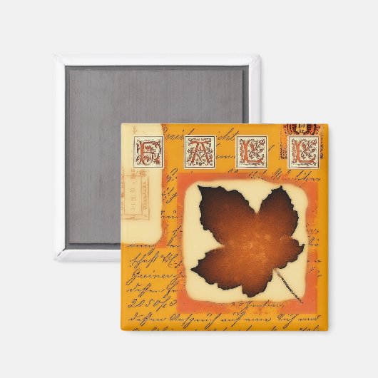 FALL MAGNET (Vorderseite/Rückseite)