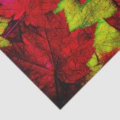 Fall Maple Blätter Rote Gelbe Schwarze Kunst Seidenpapier (Ausschnitt)