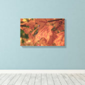 Fall Maple Verlasst HDR. Leinwanddruck (Insitu (Holzboden))