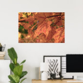 Fall Maple Verlasst HDR. Poster (Heimbüro)