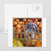 Fall Midwest Postkarte (Vorne/Hinten)