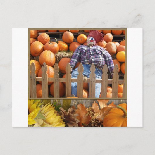 Fall Midwest Postkarte (Vorderseite)